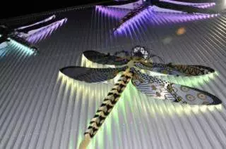 The Regency Dragonflies of Hollingdean The Regency Dragonflies of Hollingdean