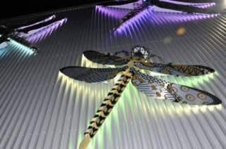 The Regency Dragonflies of Hollingdean The Regency Dragonflies of Hollingdean